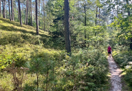 23-09-10 12-13-35 6613